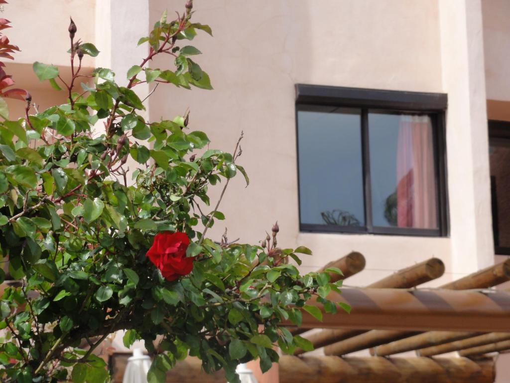 Hotel L'Hacienda Martigues Esterno foto