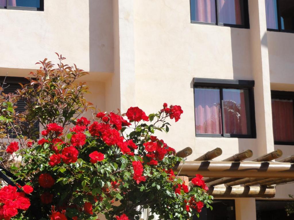 Hotel L'Hacienda Martigues Esterno foto